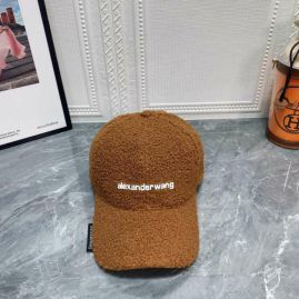 Picture of Alexander Wang Cap _SKUAlexanderWangCapdxn0308